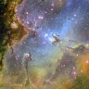 Meet your Posher, Elaine